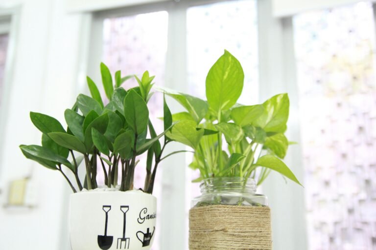 Bright and fresh houseplants in stylish pots, enhancing indoor greenery.